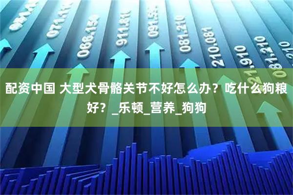配资中国 大型犬骨骼关节不好怎么办？吃什么狗粮好？_乐顿_营养_狗狗