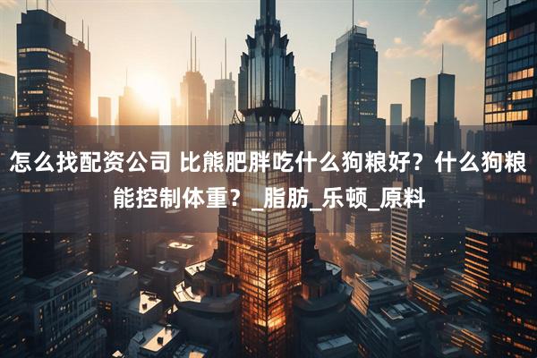 怎么找配资公司 比熊肥胖吃什么狗粮好？什么狗粮能控制体重？_脂肪_乐顿_原料
