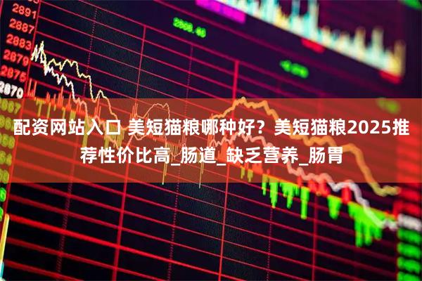 配资网站入口 美短猫粮哪种好？美短猫粮2025推荐性价比高_肠道_缺乏营养_肠胃