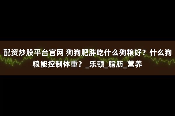 配资炒股平台官网 狗狗肥胖吃什么狗粮好？什么狗粮能控制体重？_乐顿_脂肪_营养